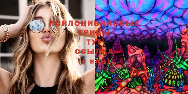 гидропоника Гусев
