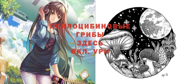 мет Гусиноозёрск