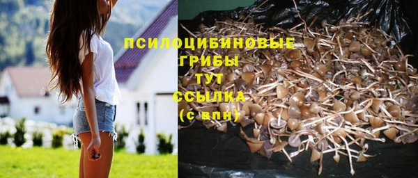 гидропоника Гусев