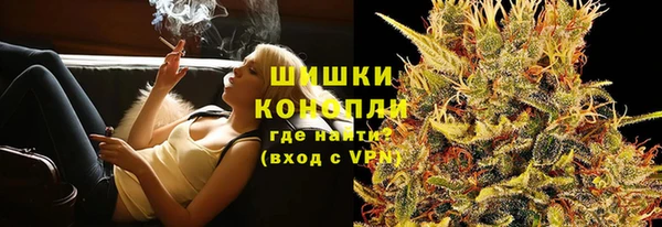 гидропоника Гусев