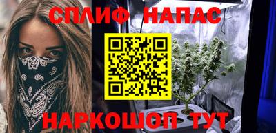 дживик Славгород