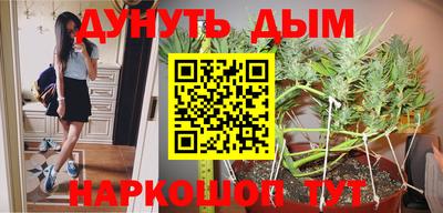 ГАЛЛЮЦИНОГЕННЫЕ ГРИБЫ Сланцы